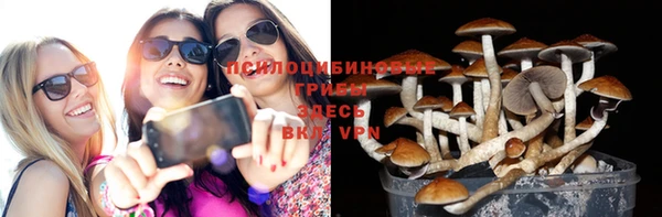 амф Абдулино