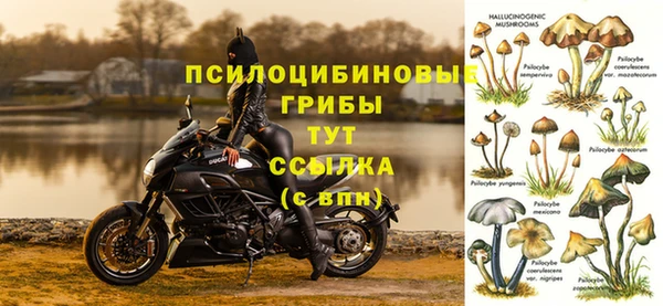 амф Абдулино