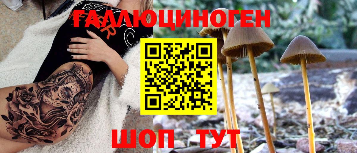 Галлюциногенные грибы мухоморы  Вход с VPN  Кимовск 