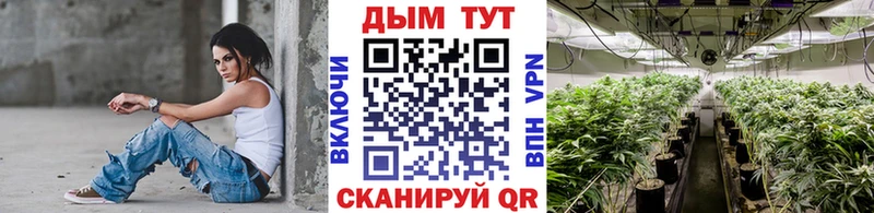 где купить наркоту  Кимовск  mega как зайти  Бошки Шишки OG Kush 